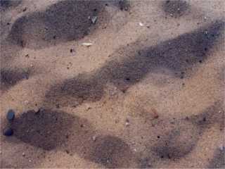 Άμμος