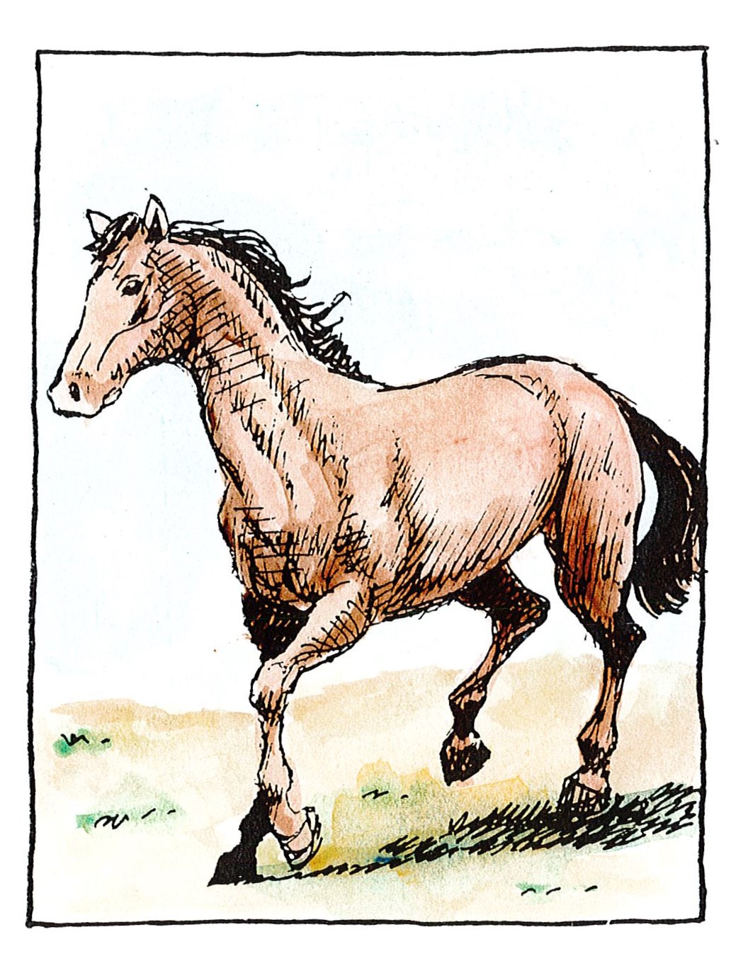 Άλογο